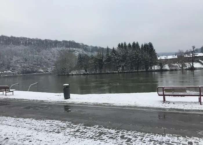 Vue Sur Meuse Apartment Profondeville